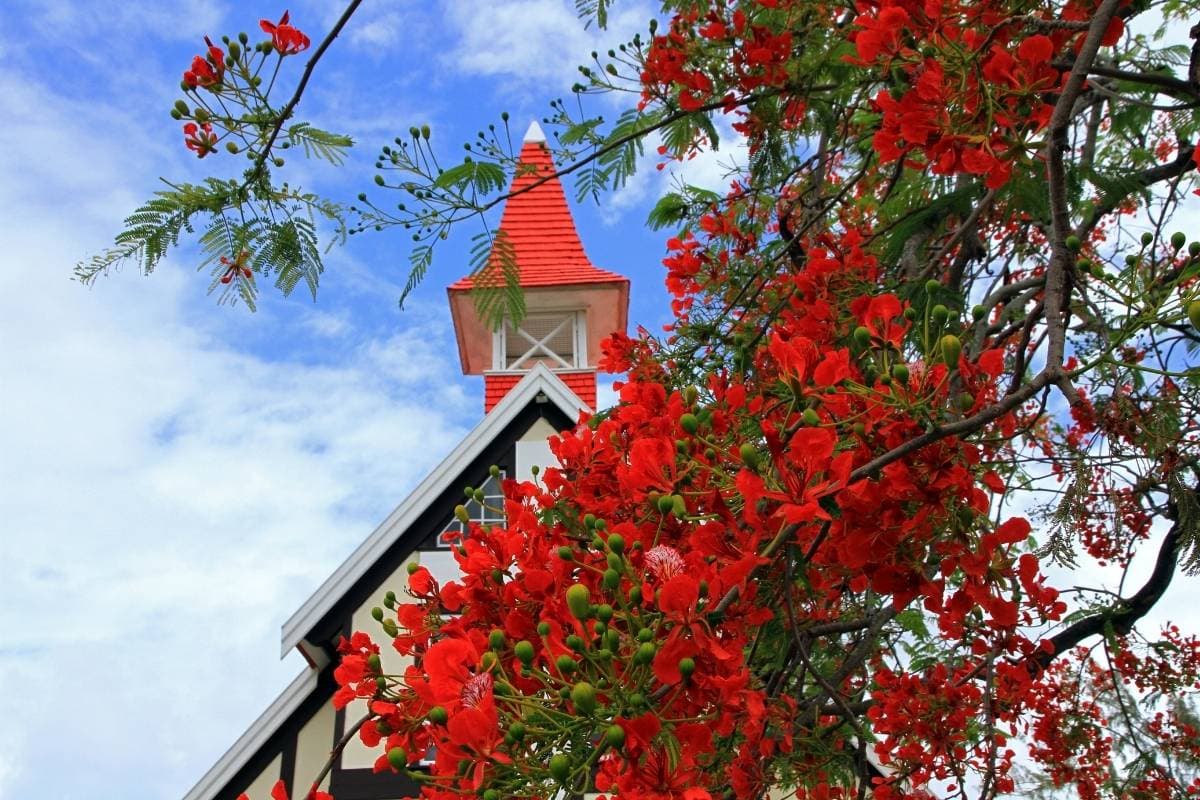 Que faire à Cap Malheureux - Île Maurice