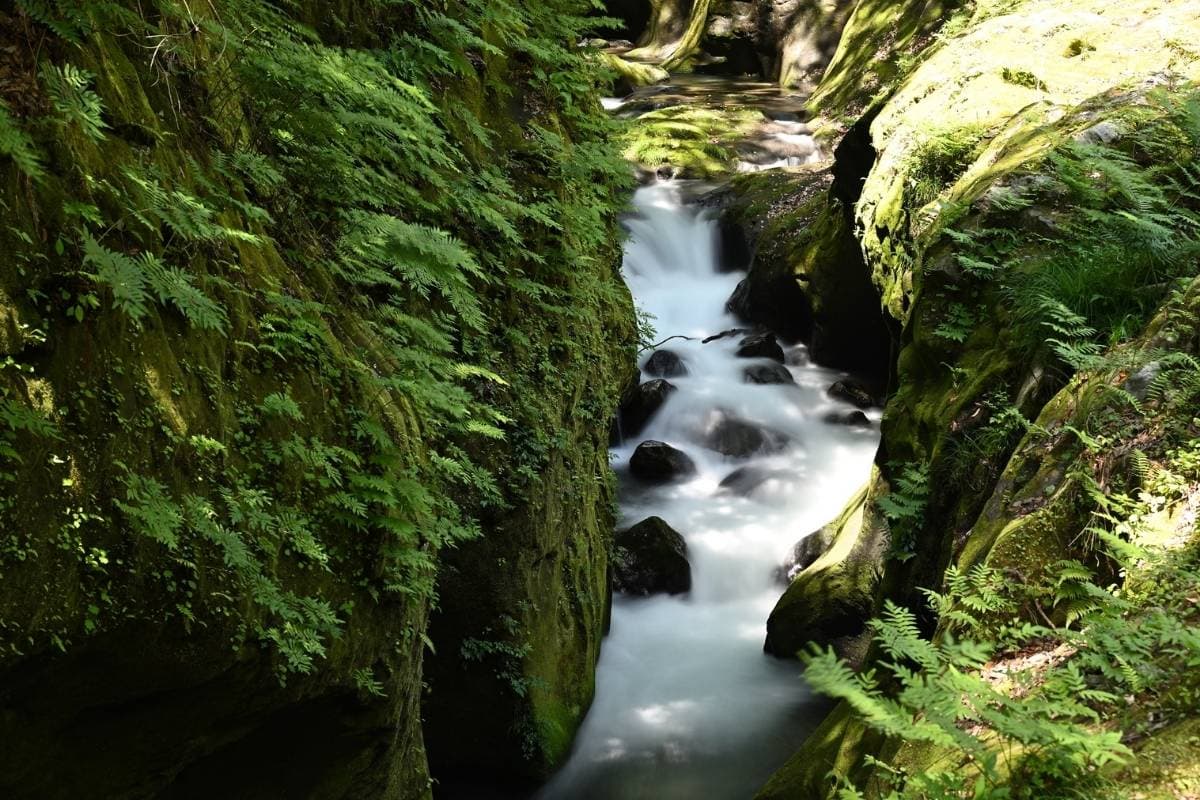 Gorges de Rivière Noire - Photo 2